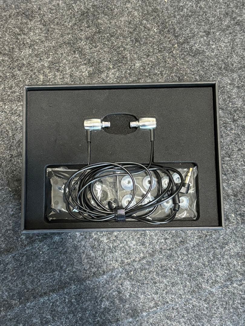 イヤホン radius HP-W100