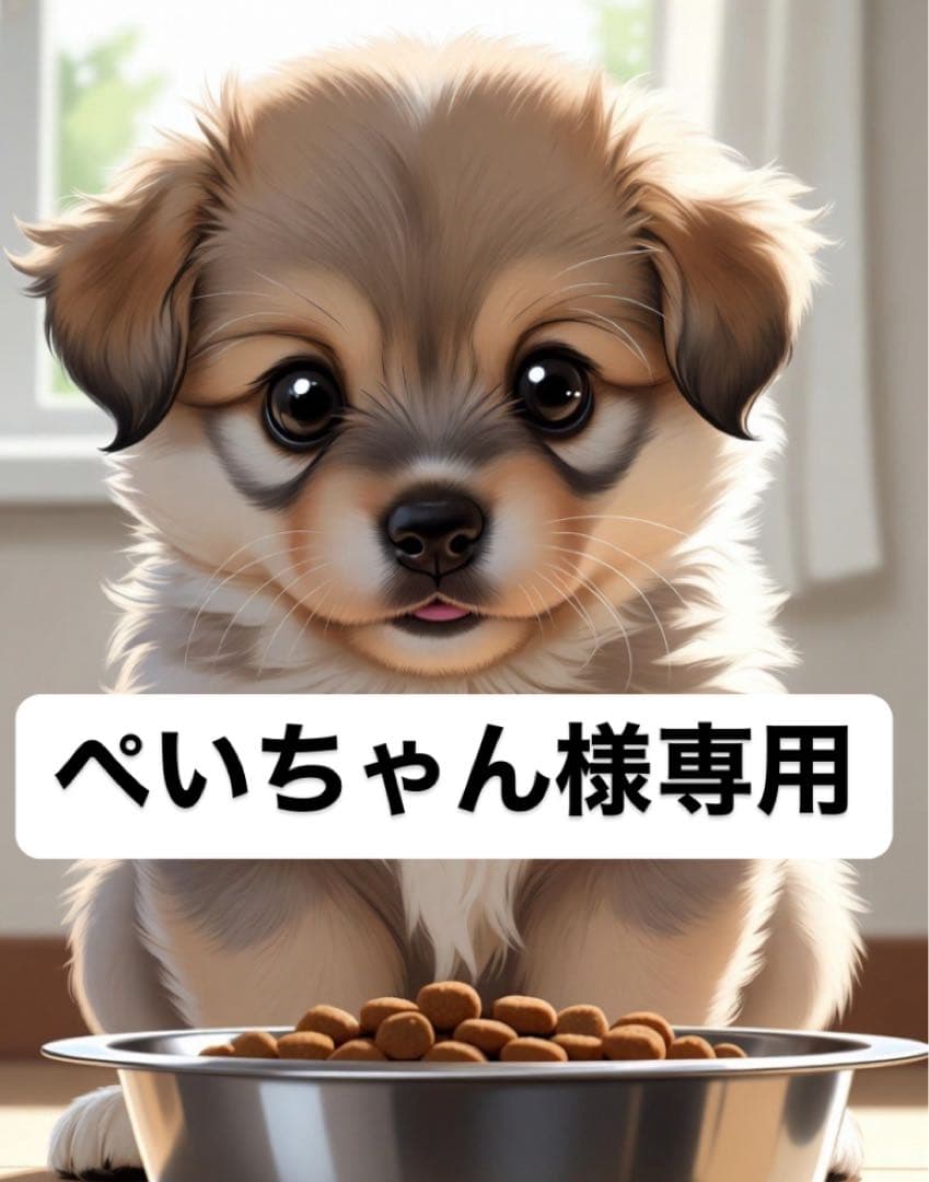 ぺいちゃんさま専用