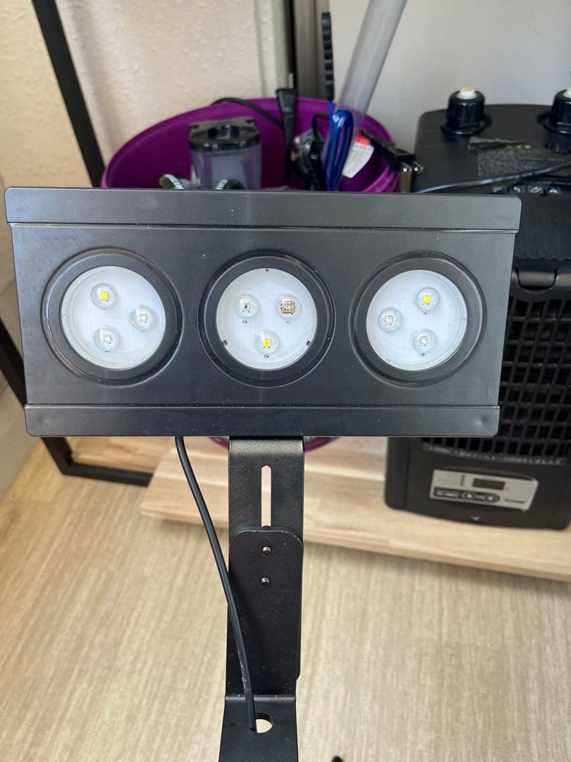 水槽セット【海水魚】