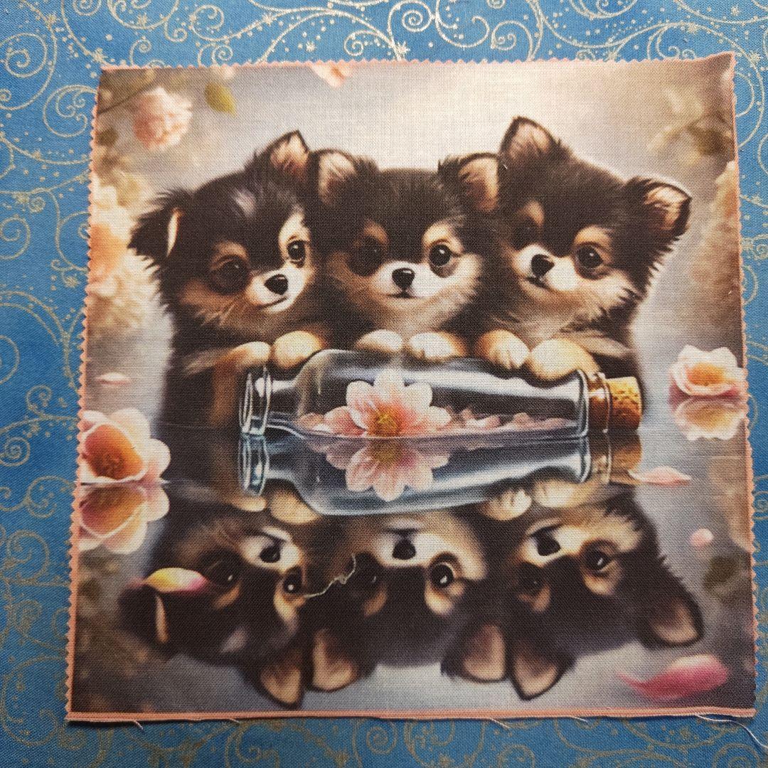 あしべ☆　パネル11枚 ハンカチ7枚　チワワ柄 18枚 　★50枚★