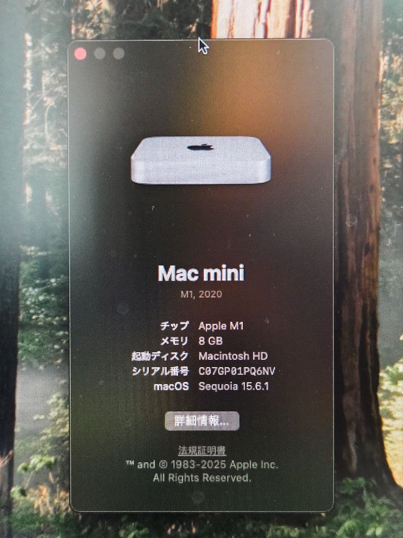 Macデスクトップ Apple Mac mini M1 8GB 256GB