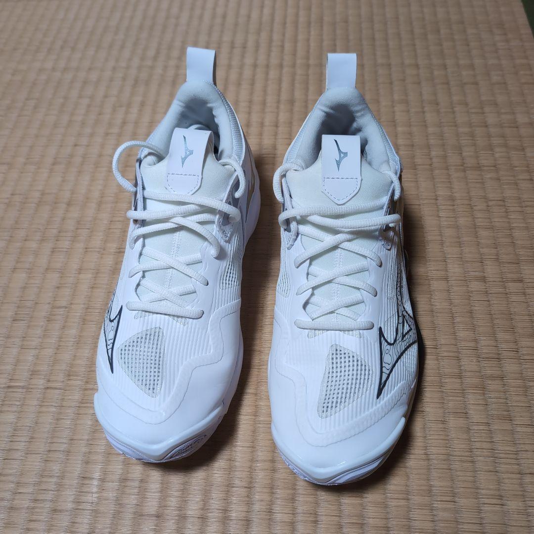 ミズノ　バレーボールシューズ ウェーブモーメンタム3