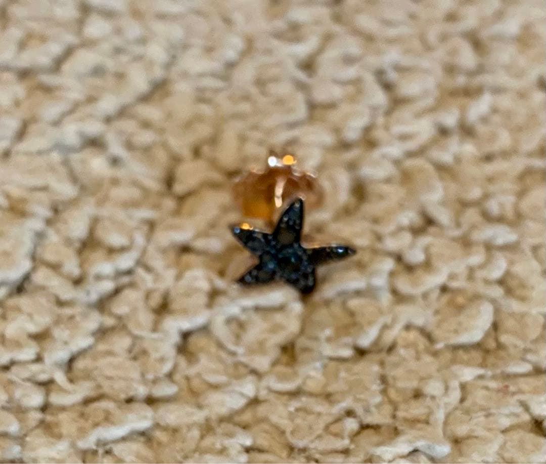 Pomellato DoDo 10K PG ブラックダイヤ ヒトデ ピアス 片耳