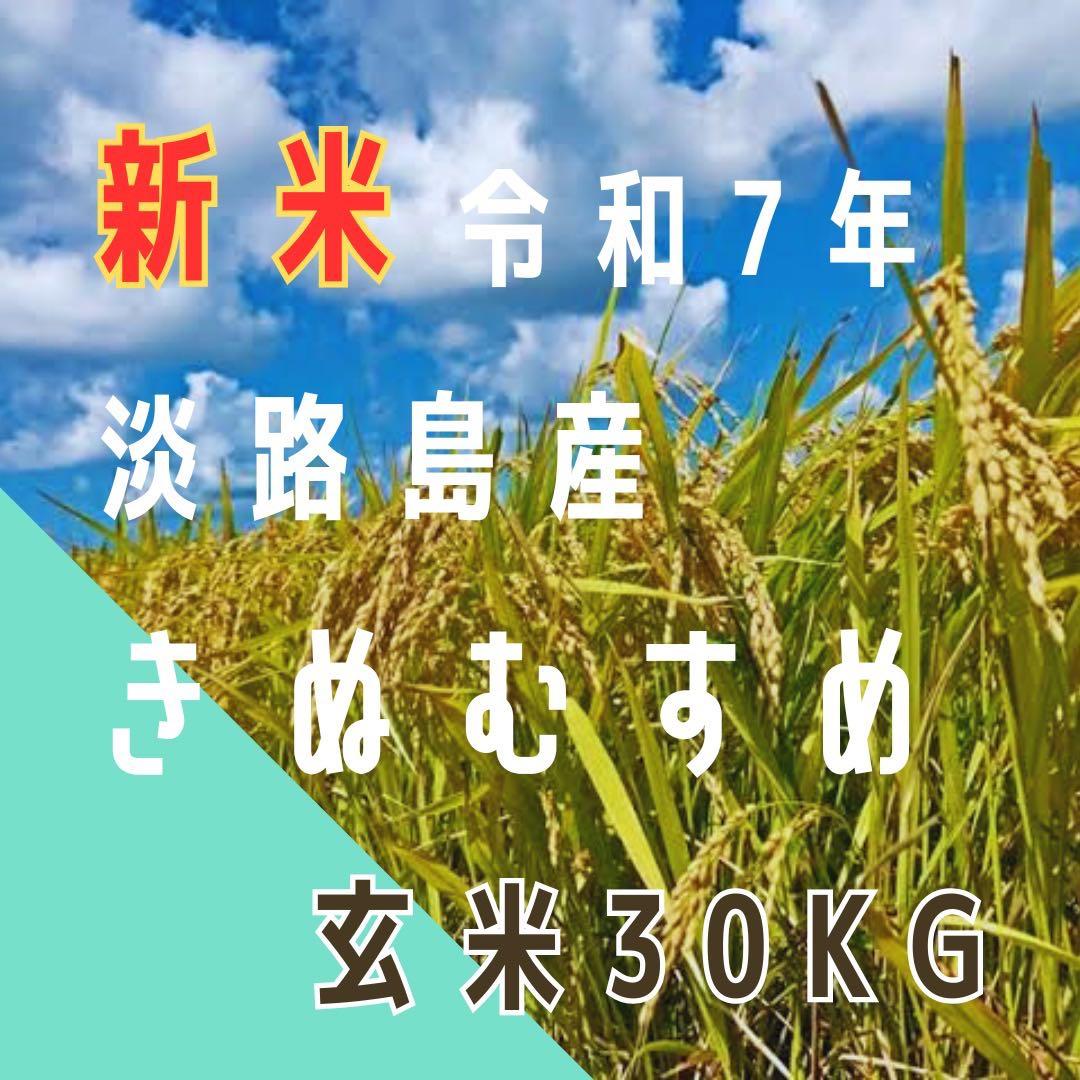 新米 令和7年産 きぬむすめ 玄米30キロ 淡路島産 精米小分け可　　30kg