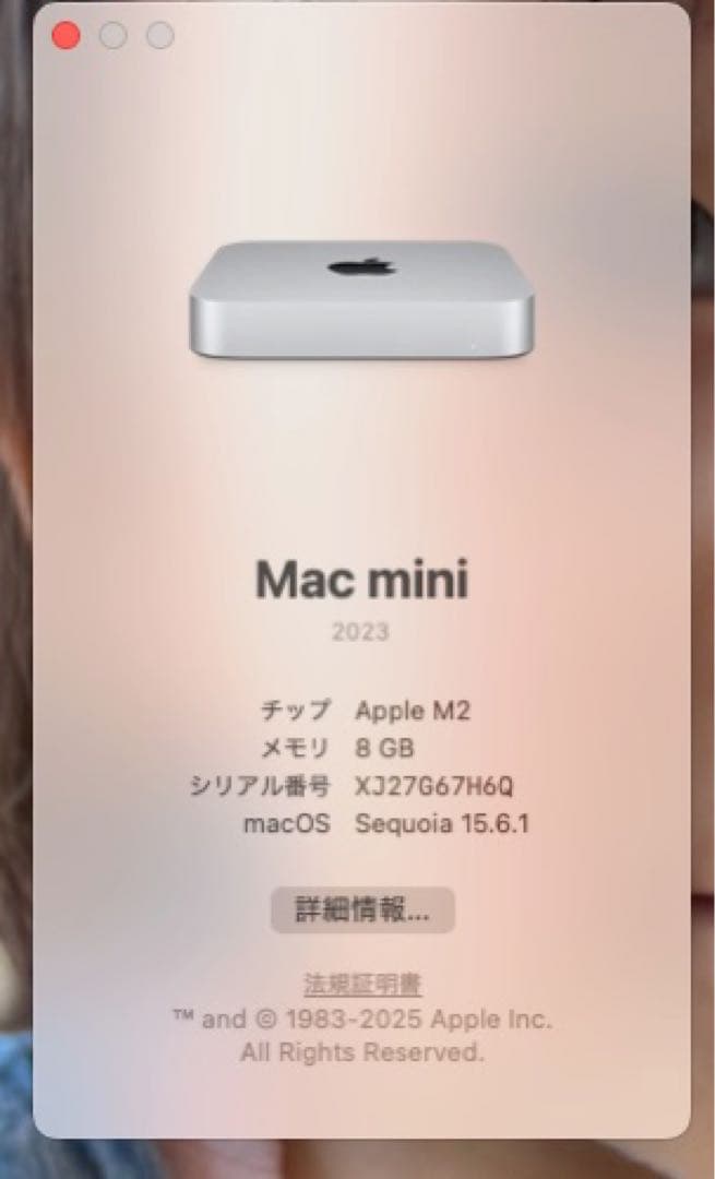 Macデスクトップ Mac mini M2 8GB 256GB