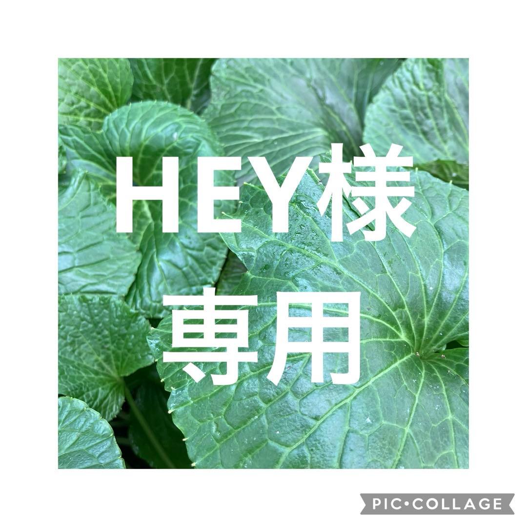 野菜 HEY