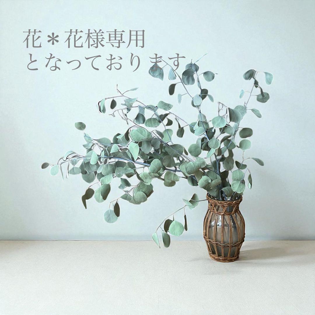 花＊花となっております