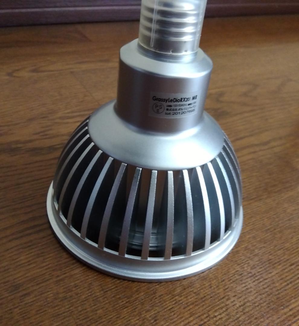 グラッシーレディオＲⅩ201ⅯＲ（マリン）ボルクスジャパン／サンゴ／LED