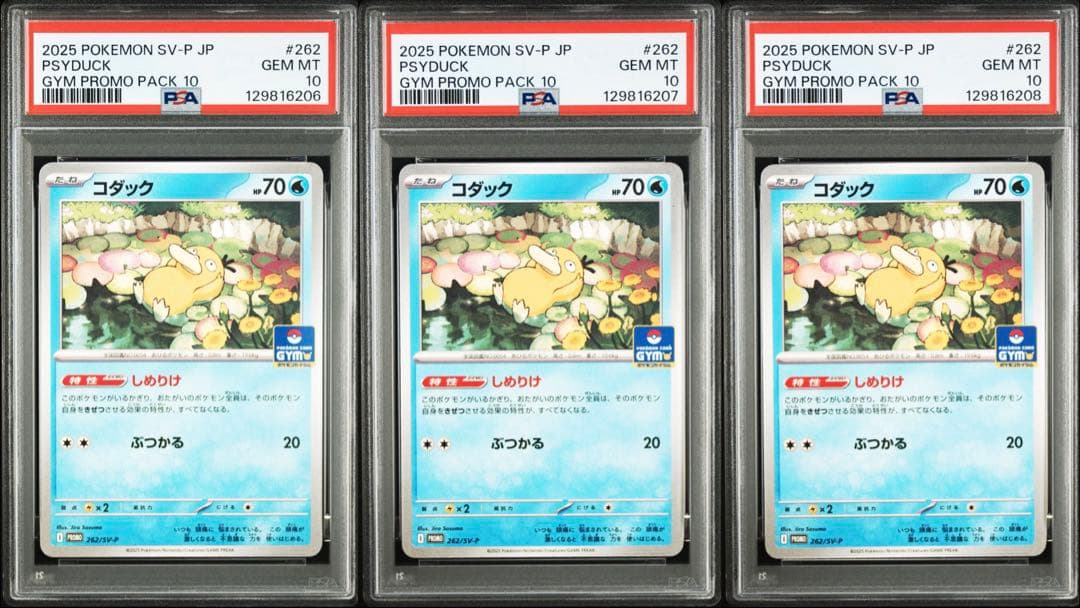 コダック プロモ　psa10 3連番