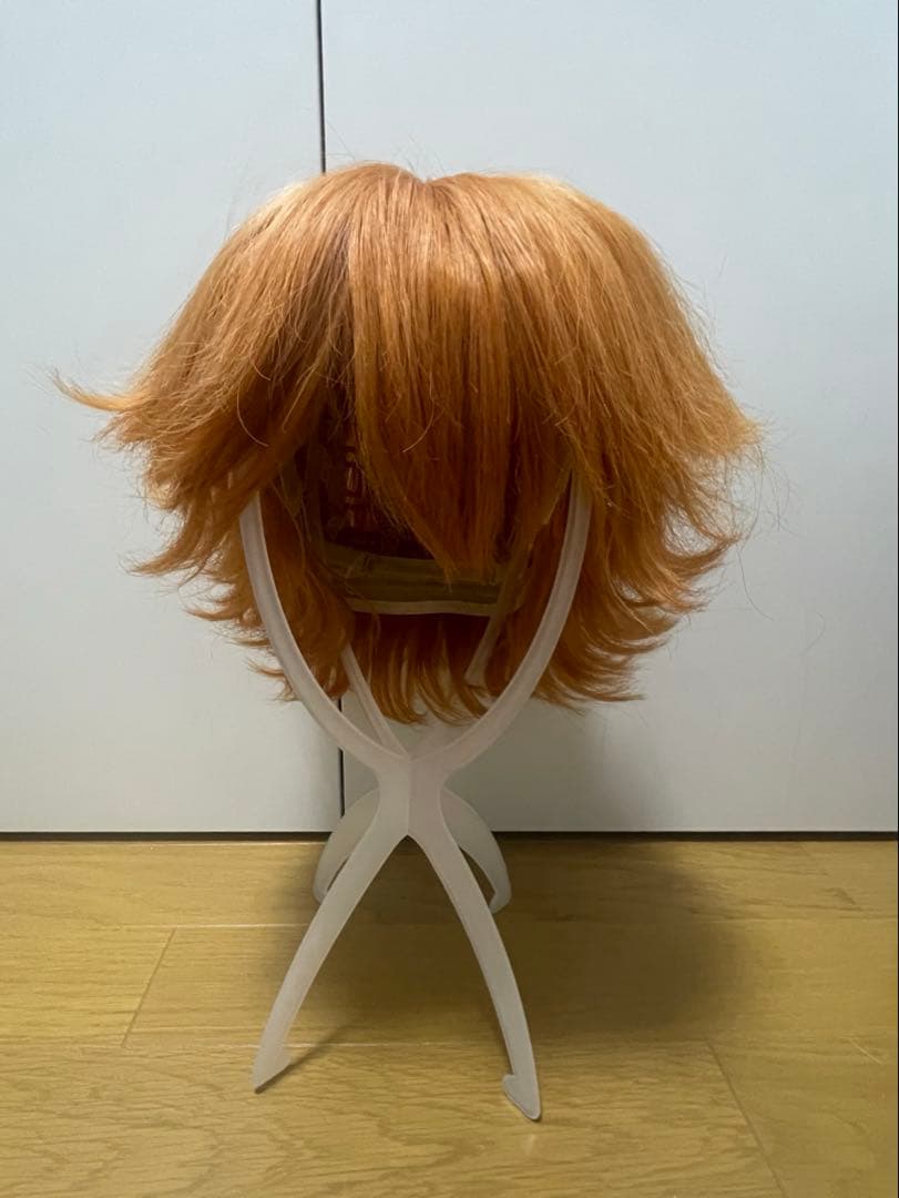 Dハロ　仮装　ズートピア　ニック　⚠️さいが⚠️