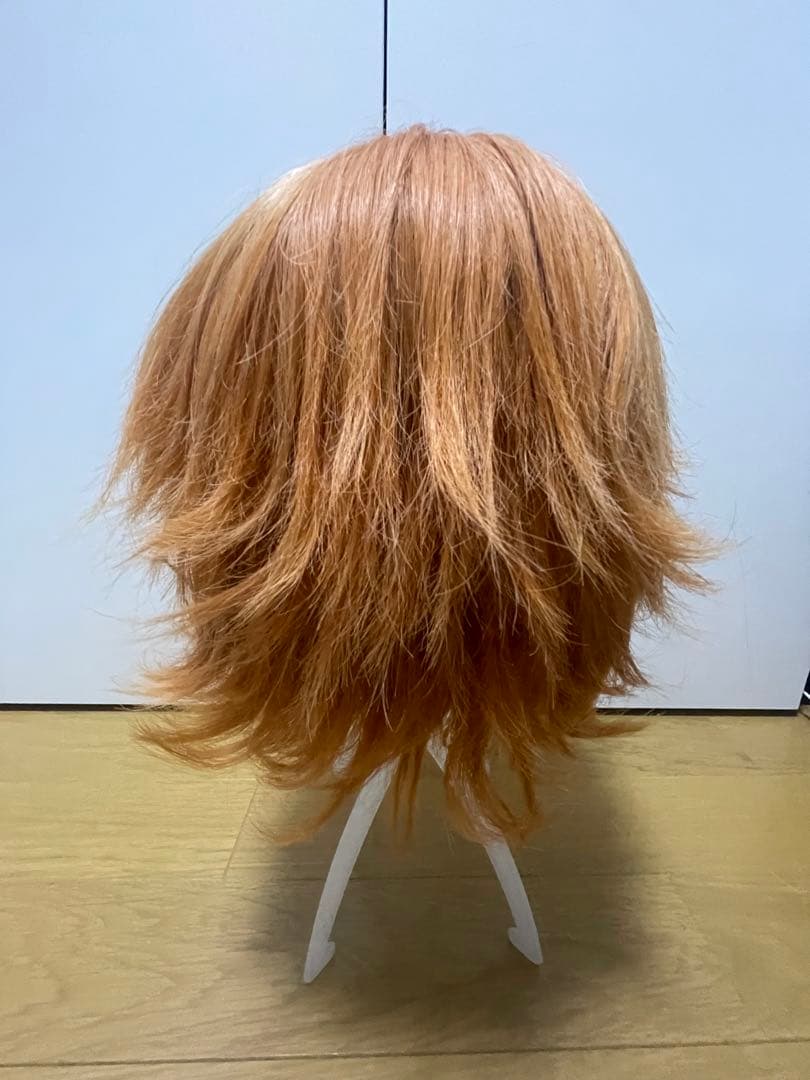 Dハロ　仮装　ズートピア　ニック　⚠️さいが⚠️