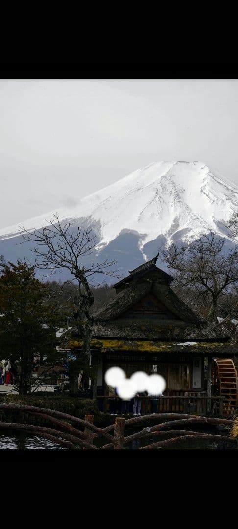 SONY ILCE−9 α9 レンズSEL24105Gセット