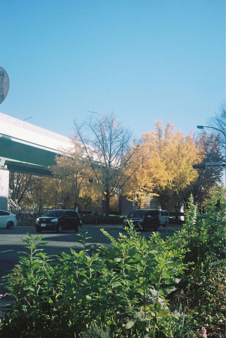 【実用品】OLYMPUS PEN EF コンパクトフィルムカメラ