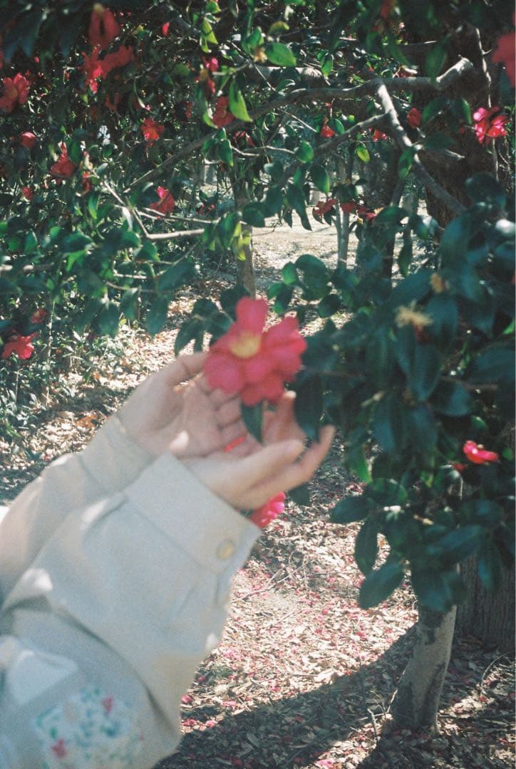 【実用品】OLYMPUS PEN EF コンパクトフィルムカメラ