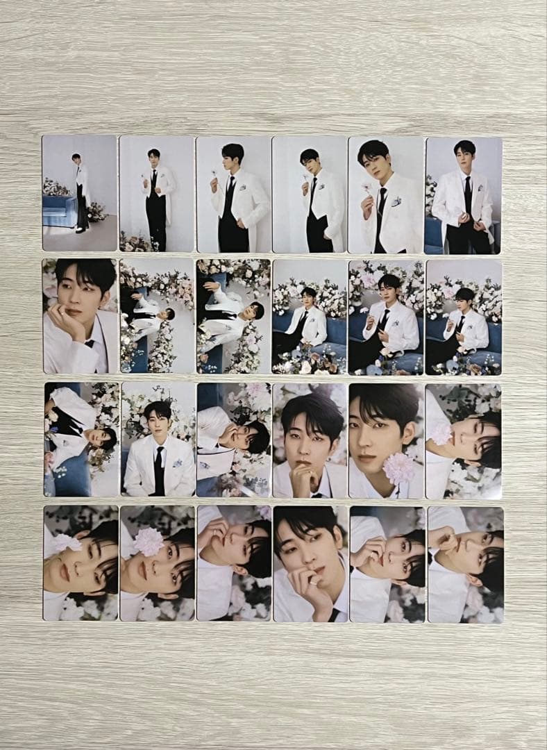 SEVENTEEN ウォヌ　セット　まとめ売り