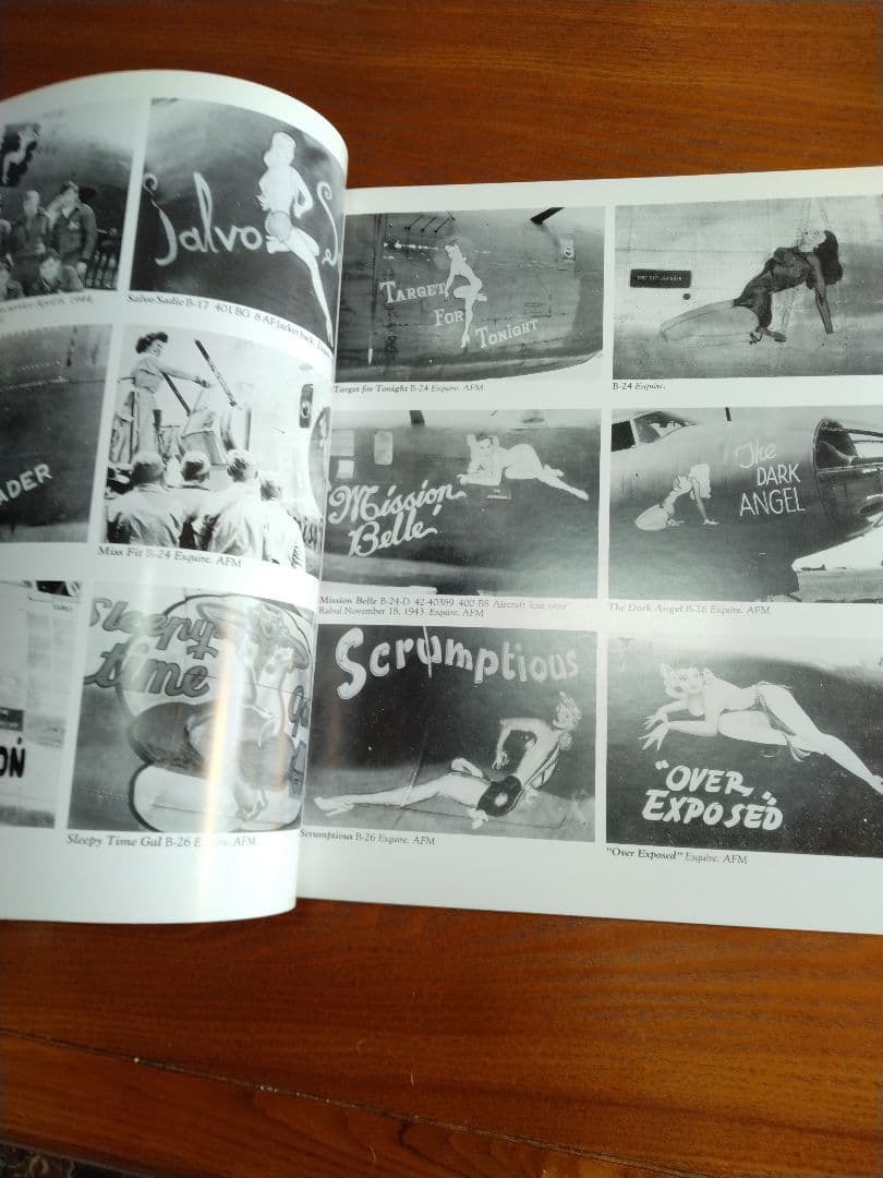 Nose Art Hard to Get!　他　ノーズアート