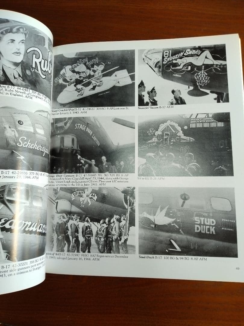 Nose Art Hard to Get!　他　ノーズアート