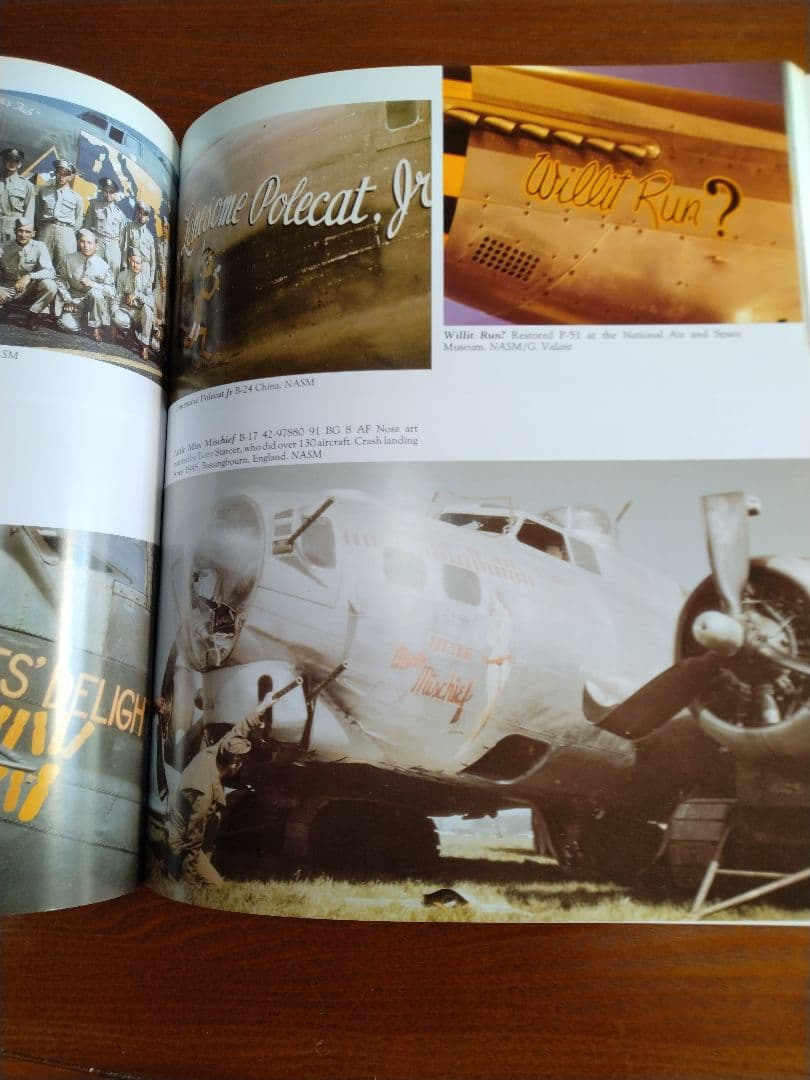 Nose Art Hard to Get!　他　ノーズアート