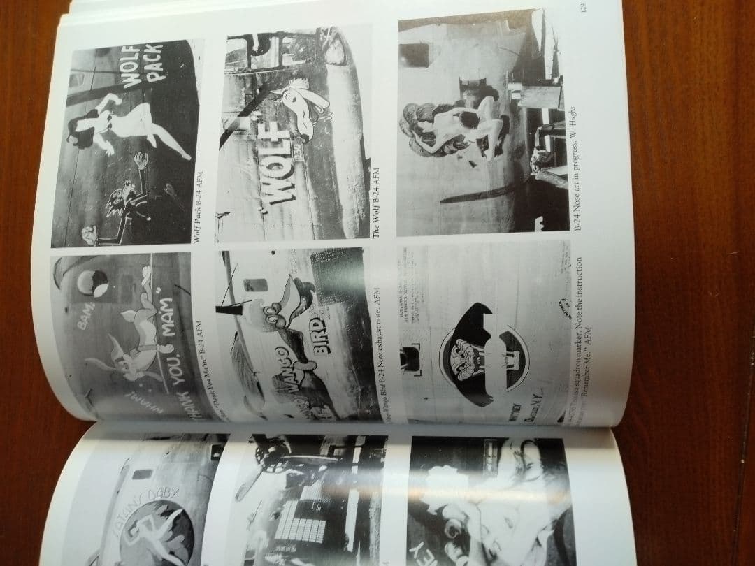 Nose Art Hard to Get!　他　ノーズアート