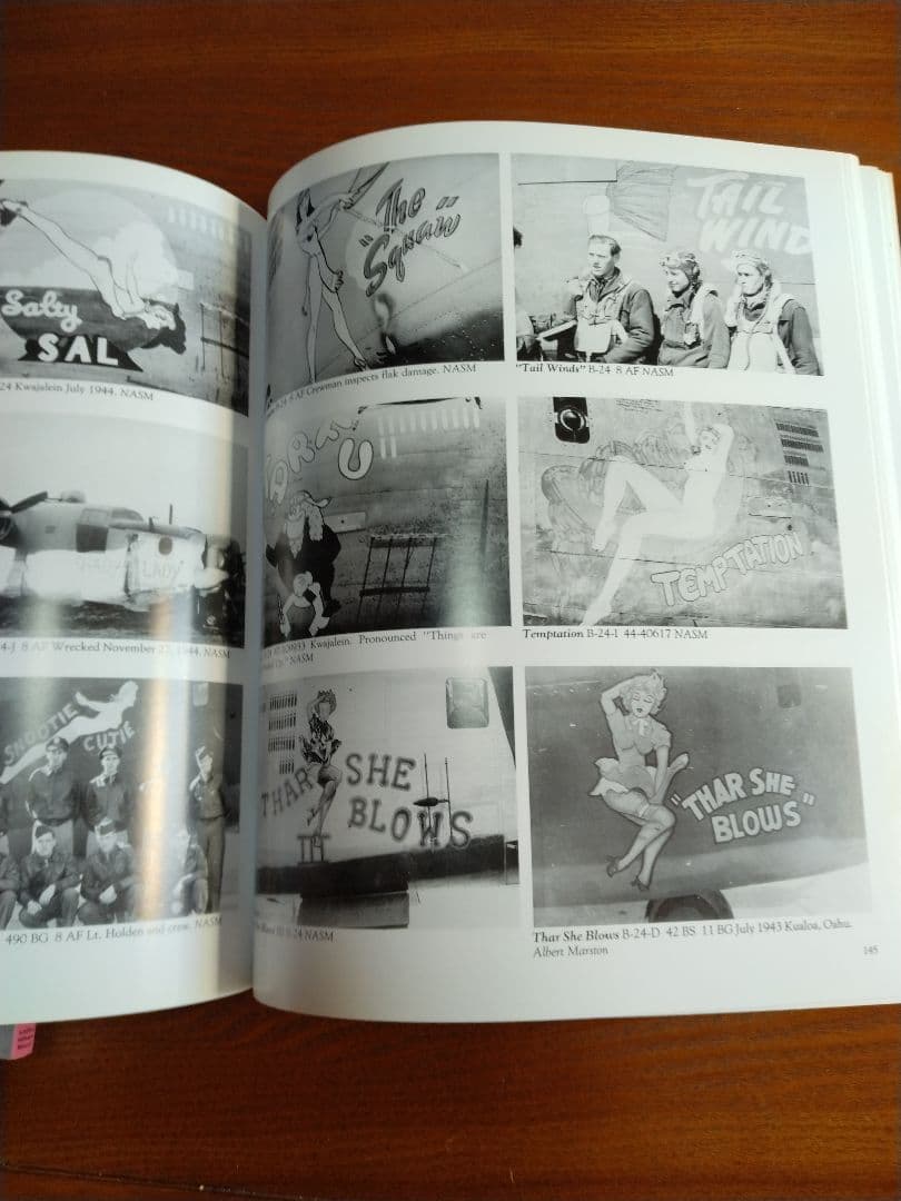 Nose Art Hard to Get!　他　ノーズアート