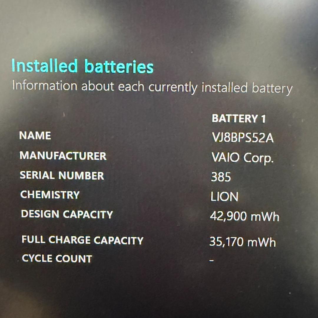 高性能❗国産❗12世代 16GB VAIO Pro PG i5 SSD256GB