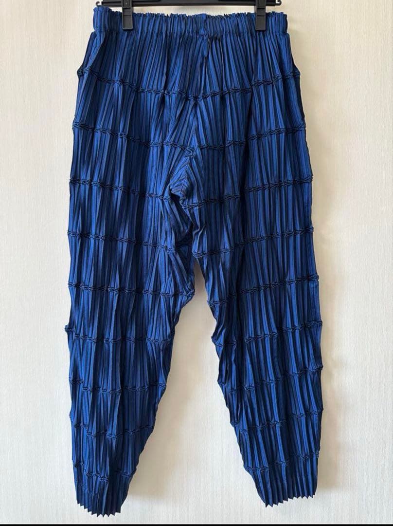 APOCABLE ISSEYMIYAKE スチームストレッチ プリーツ パンツ