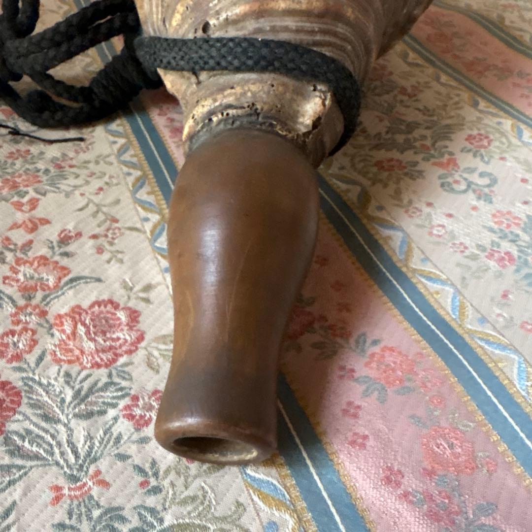 法螺貝 約37cm 大型 ホラ貝 ほら貝