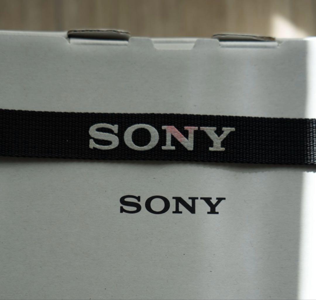 【レンズプロテクター付】SONY ZV-E10ⅱミラーレス一眼カメラ キット