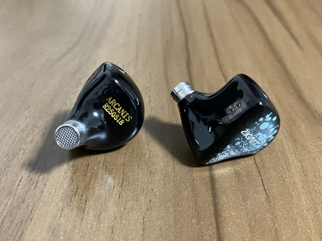 イヤホン Ziigaat Arcanis