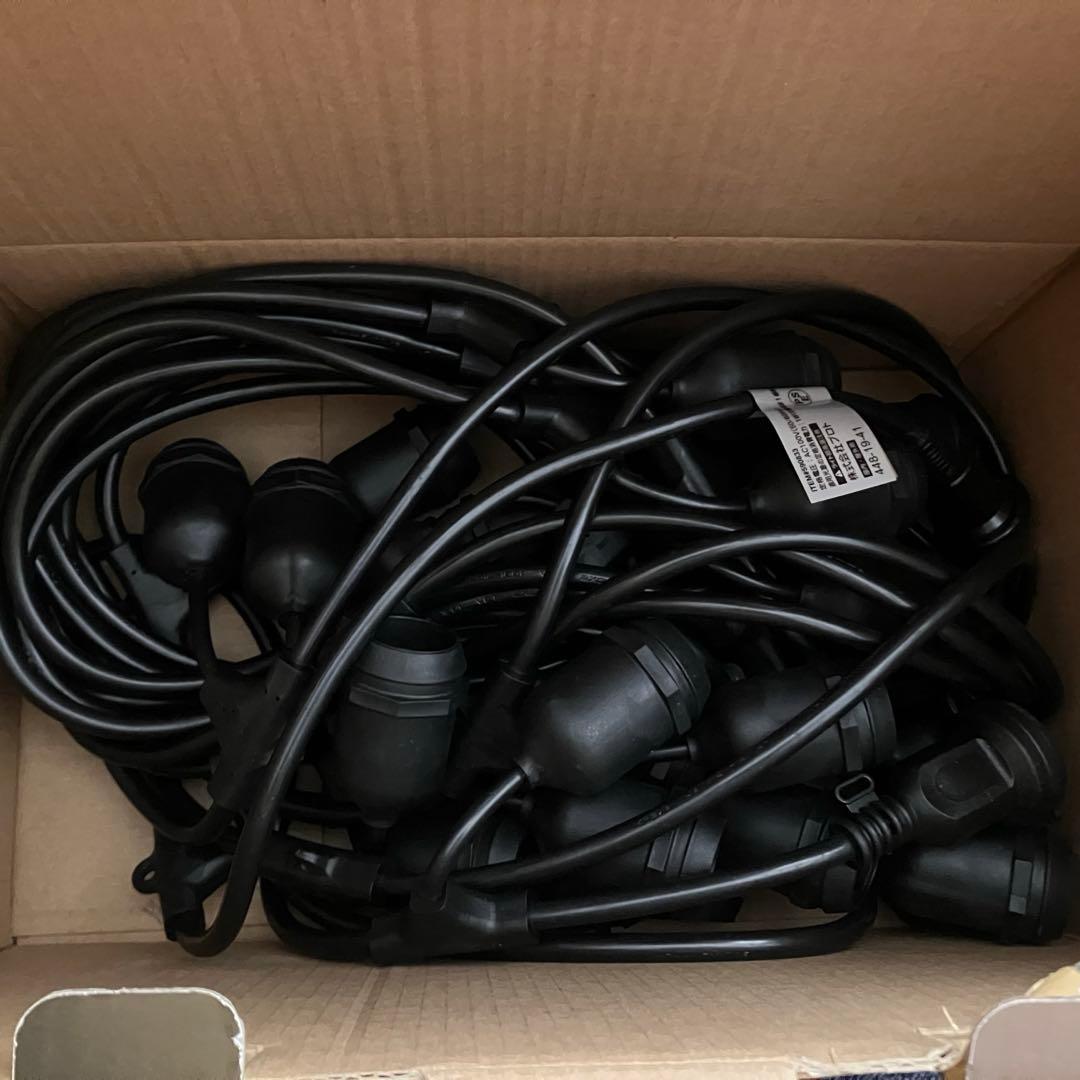 ２個セット FEIT LEDストリングライト コストコ