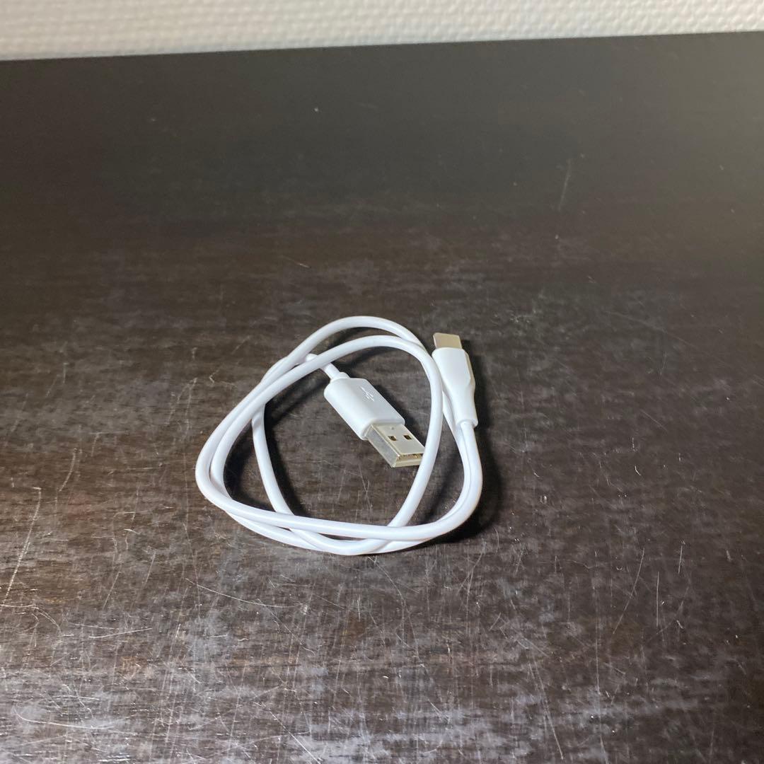 Ravilian 美顔器 ゴールド USB充電