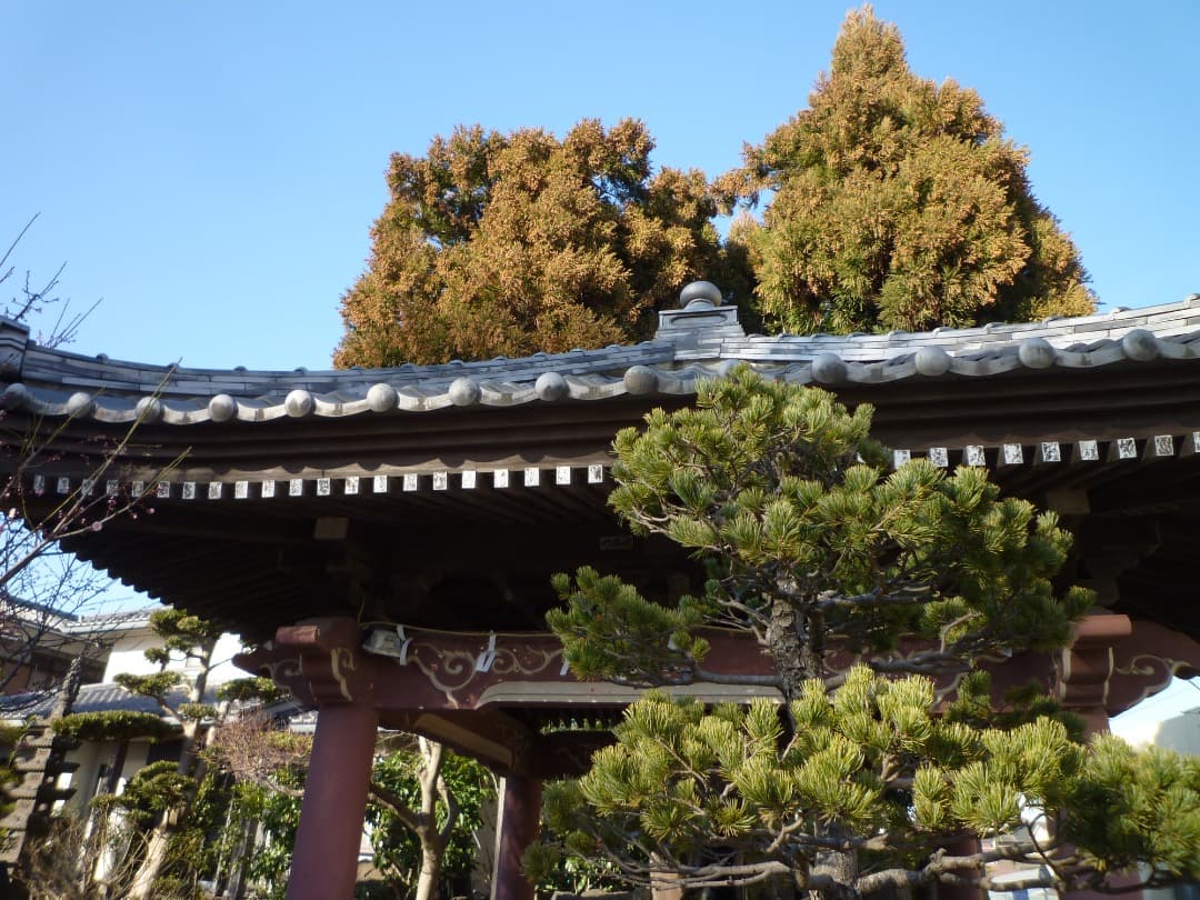 実写⭕️【動作確認済】Panasonic LUMIX FX DMC-FX40