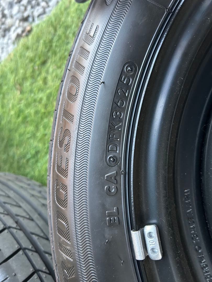 ガジュマルさん専用