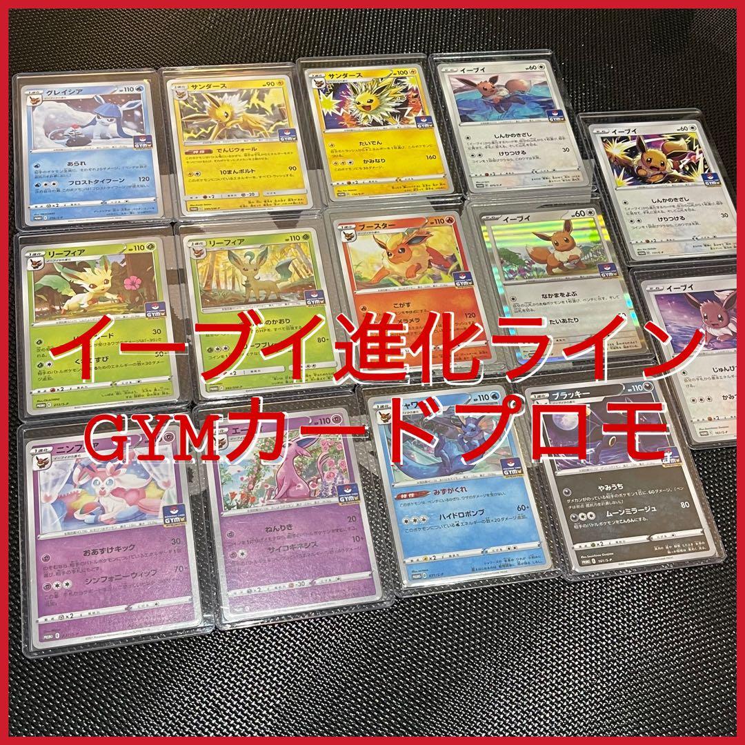 イーブイ進化ライン GYMカードプロモ 14枚セット