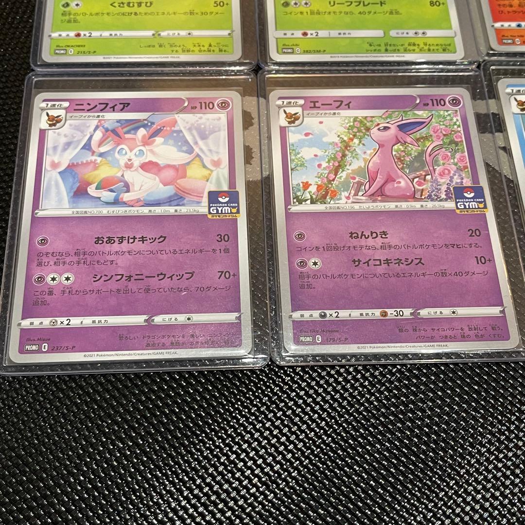 イーブイ進化ライン GYMカードプロモ 14枚セット