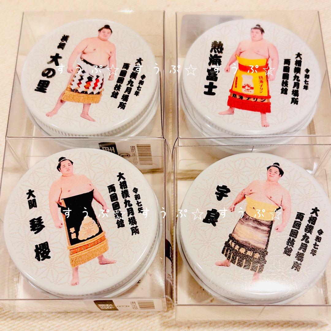 ♡チェブラーシカ♡様② 専用です✩.*˚(10月1日まで)