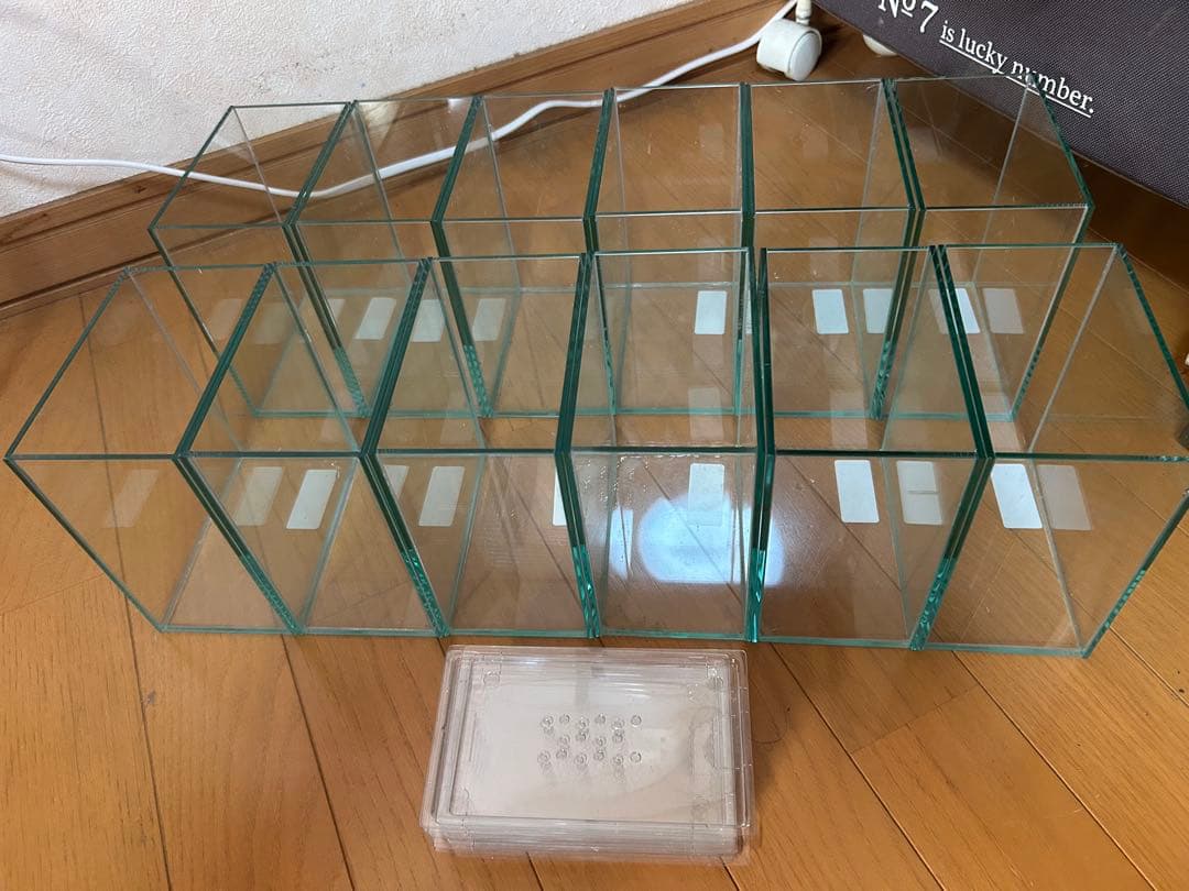 ベタ　コレクションケースM 12個