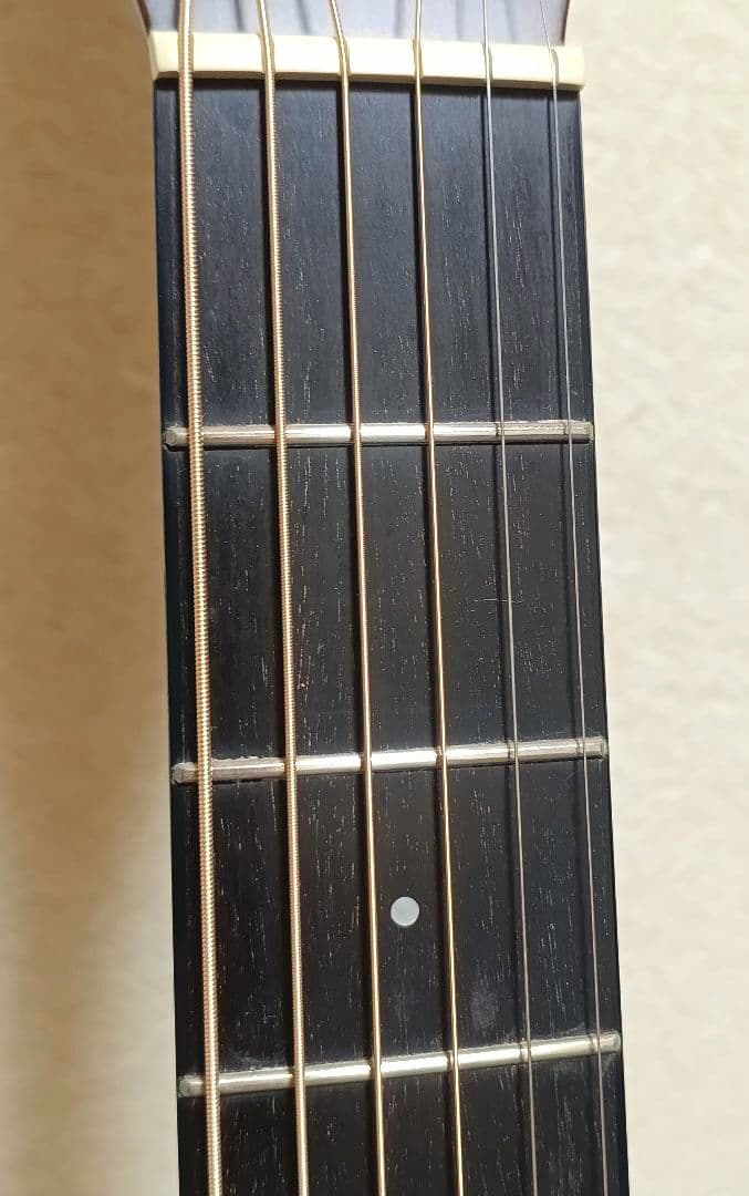 Morris S-101M アコースティックギター 南澤大介シグネチャーモデル