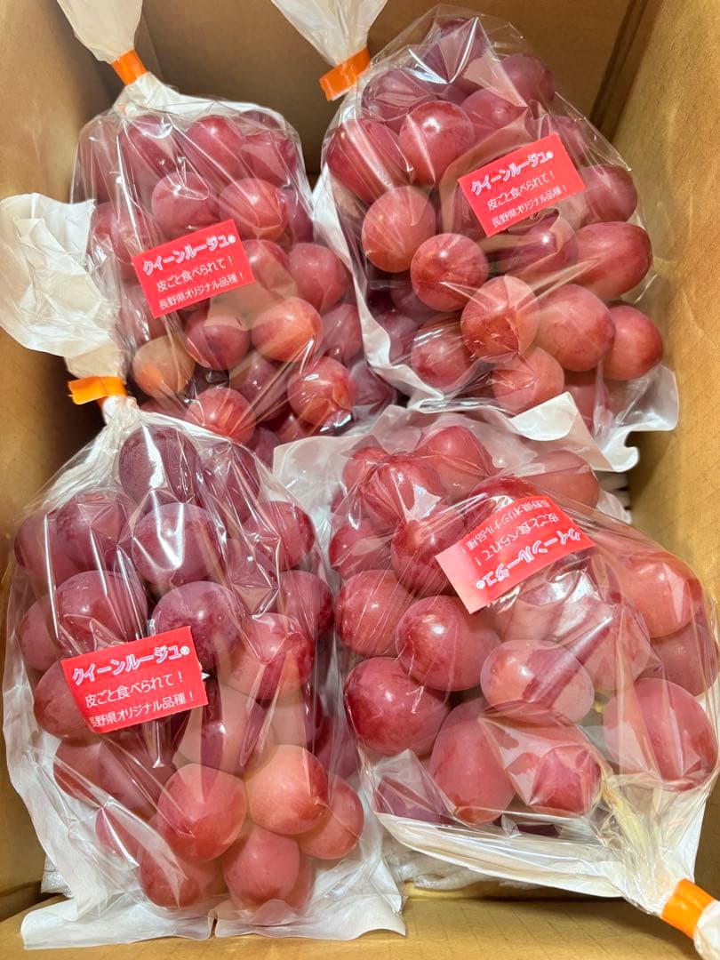 クイーンルージュ　長野県産2.5キロ