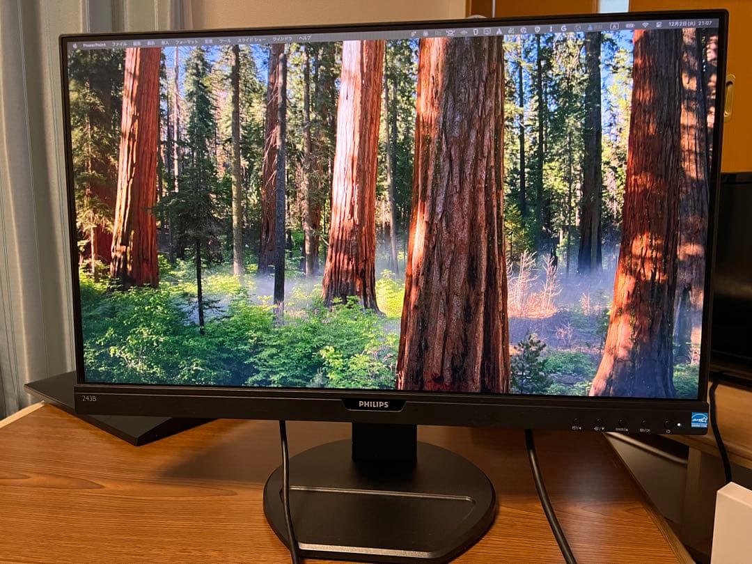 Philips 243B9/11 24インチモニター