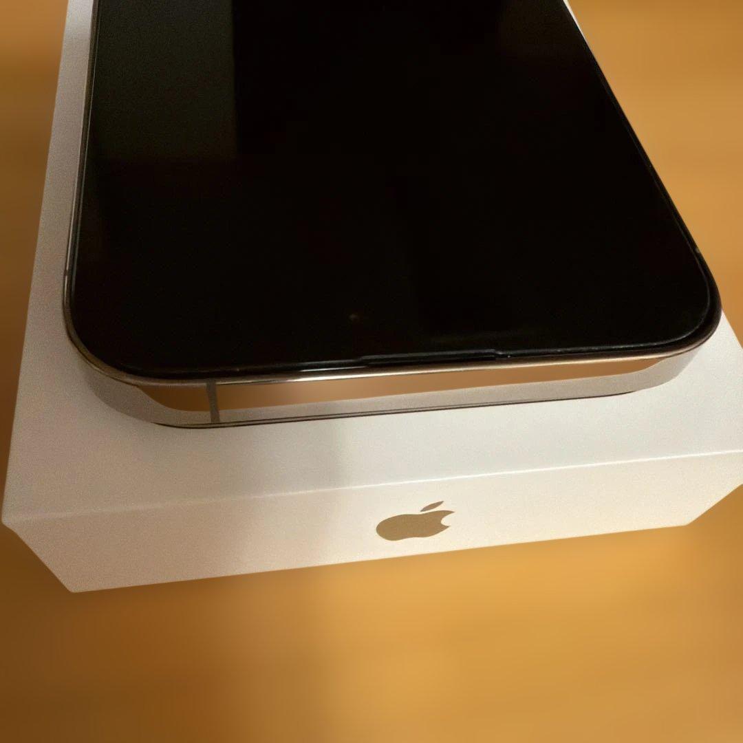 iPhone 14 Pro Max ゴールド シリコンケーブル付き