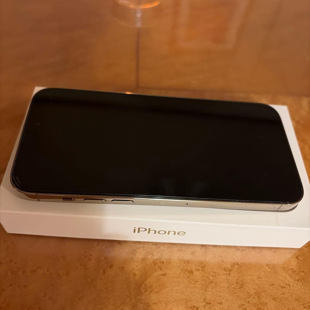 iPhone 14 Pro Max ゴールド シリコンケーブル付き