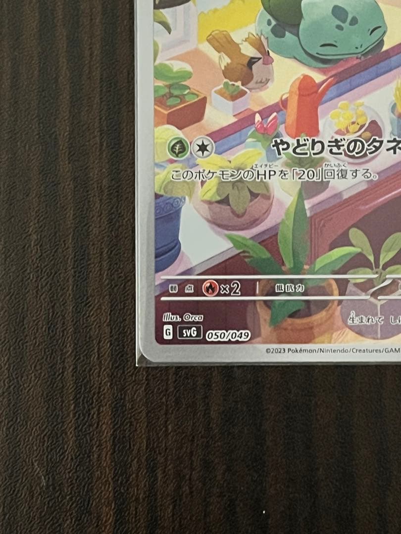 ゼニガメ　ヒトカゲ　フシギダネ　ar セット