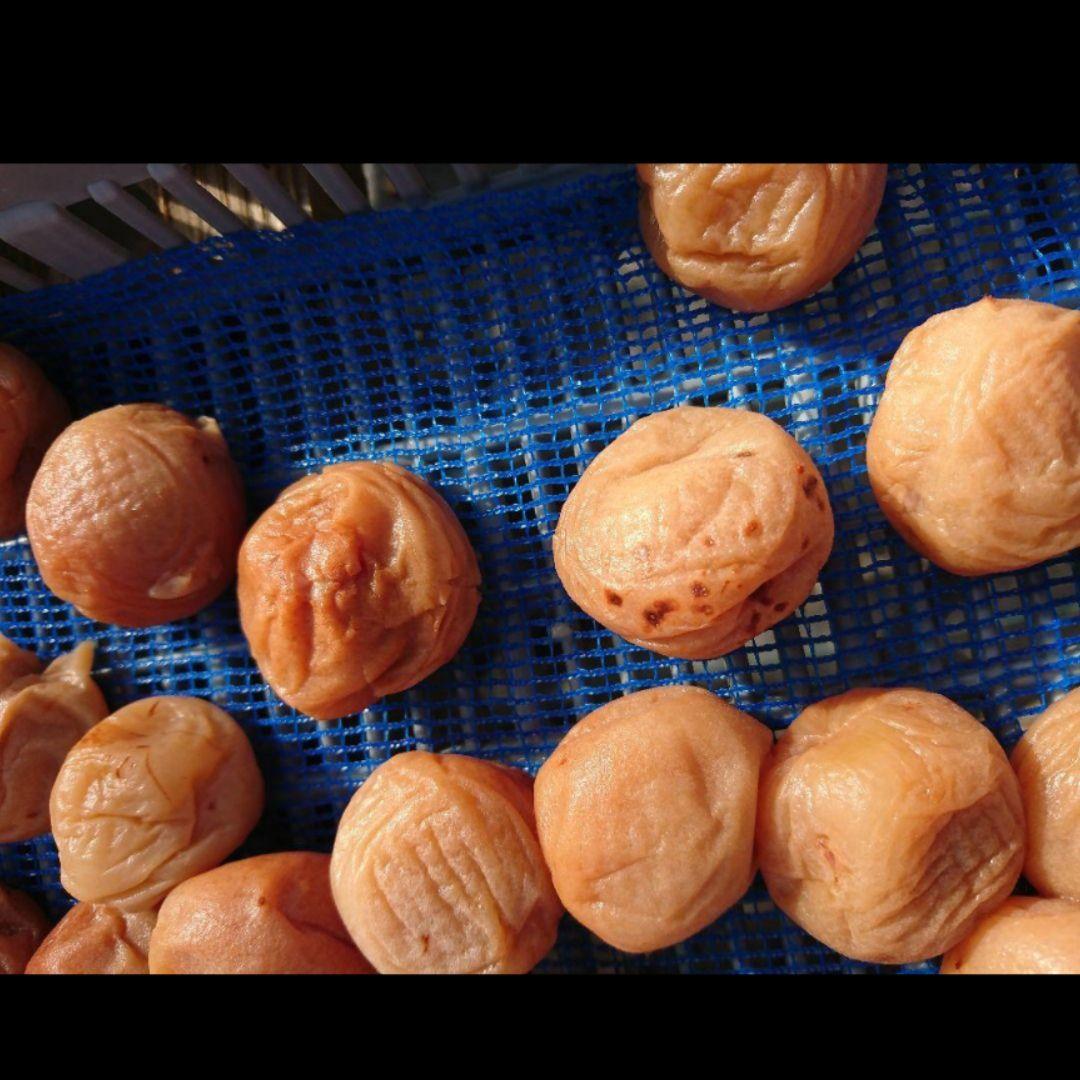 HKしょうぶえん 様 チョコット訳あり★はちみつ完熟梅 1kg×3