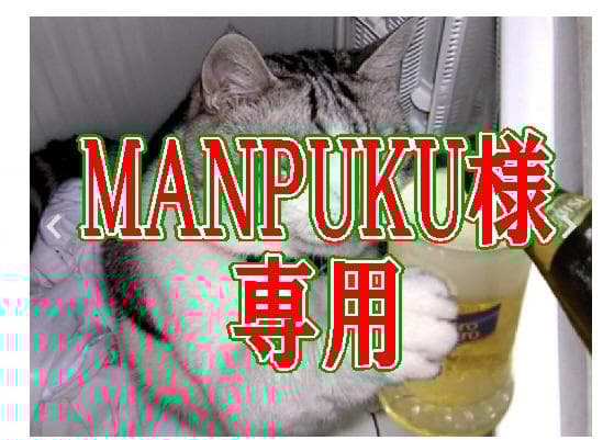 MANPUKU　オプション14000円