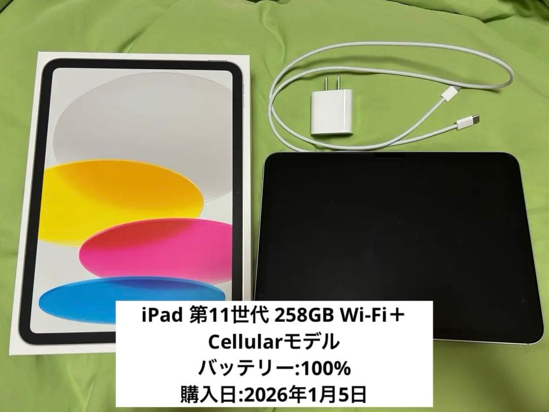 iPad 第11世代 258GB Wi-Fi＋Cellularモデル