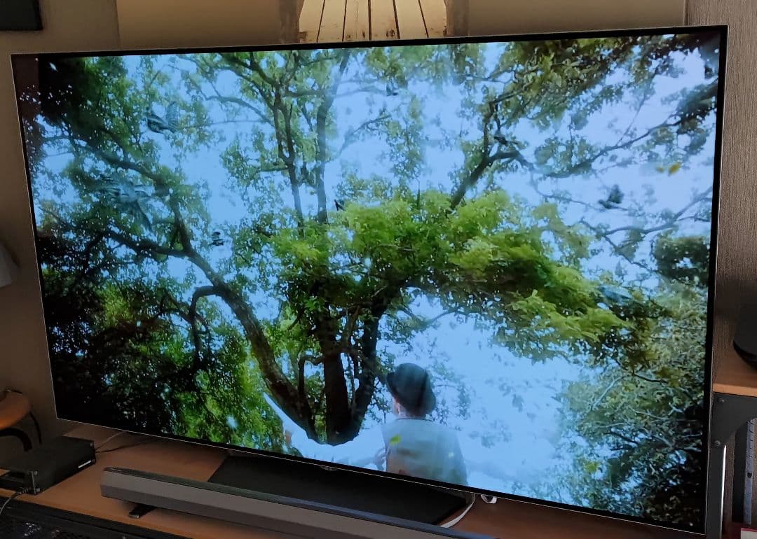 LG 65V型 有機EL テレビ OLED65B6P 4K 外付けHDD裏番組録