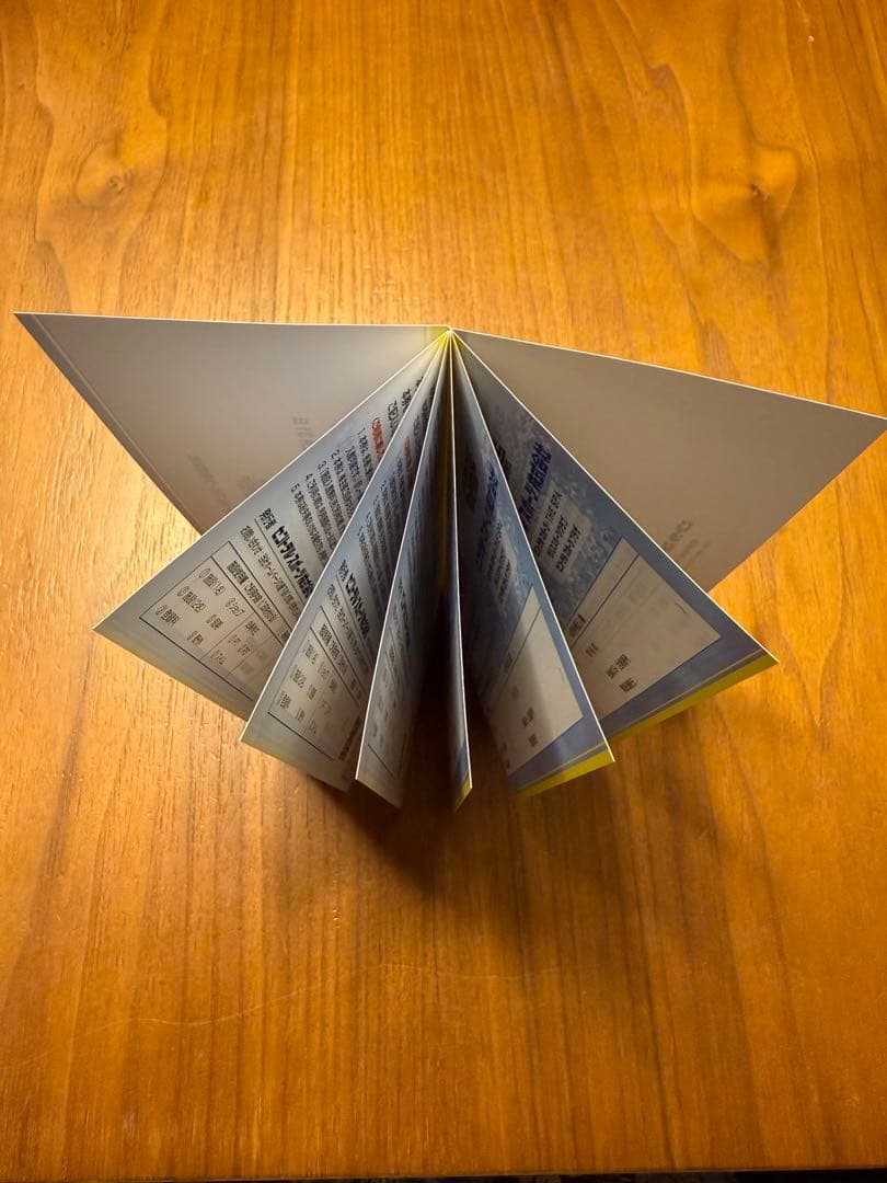 セントラルスポーツ　株主優待券　6枚綴