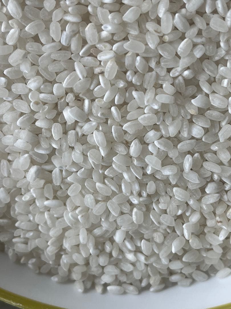 令和7年愛知県産【精米20kg】送料込み 米 精米 白米梱包含め20㎏