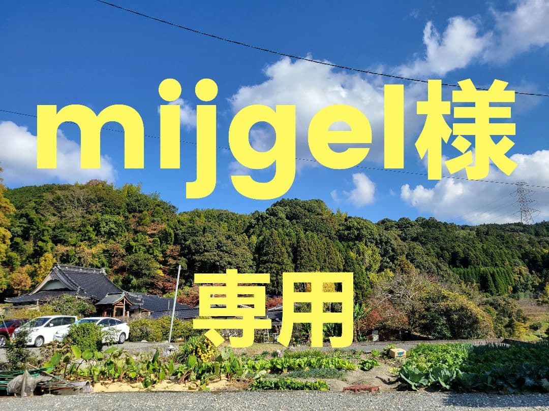 夢つくし 新米 福岡県産 令和6年 20kg